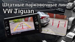 Штатные парковочные линии VW Tiguan