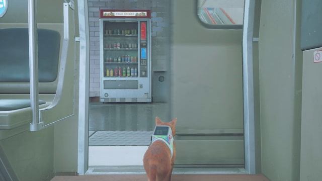 [Stray] 10 часть последнеяя смотреть онлайн