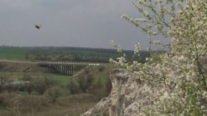 «Память книга оживит. Донская природа» 2021 3-й этап Николай Косенко «Каникулы в Апимондии» Отрывок