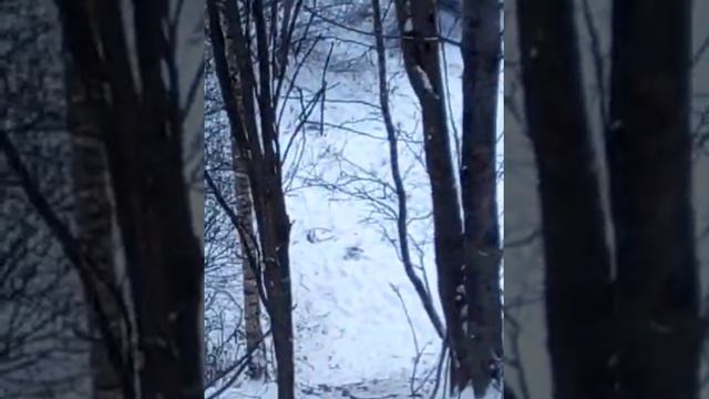вахромеево сегодня
