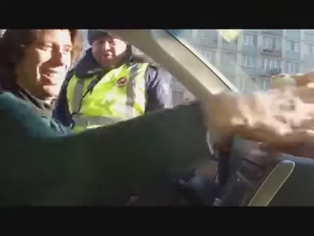 Хомяк и гаишник ! смотреть онлайн