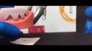 Charmtemp® temporary crown