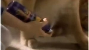 Raid Flea Killer Plus Flea Spray Commercial (1995)