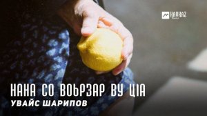 Увайс Шарипов - Нана со воьрзар ву цlа | KAVKAZ MUSIC CHECHNYA