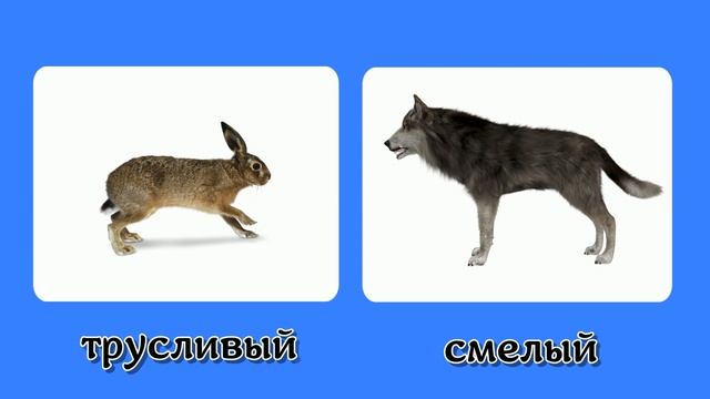 Автоматизация звука л в словах. Подбор антонимов