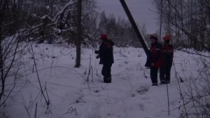 Энергетики обошли почти 4 тысячи километров линий электропередачи в Смоленской области