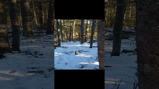1000015643.mp4