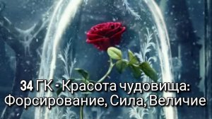 Практика Выхода из Форсирования в Силу.