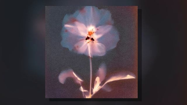 {FREE} Don Toliver x SAINt JHN Type Beat ~ “indigo” (prod. GELO) смотреть онлайн