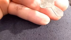 Нашел то что искал! Коп монет 2024.