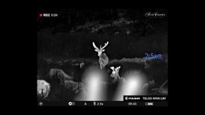 Pulsar Telos LRF XP50 -New Sub 18mK NETD  Is this the ultimate thermal for stalking?