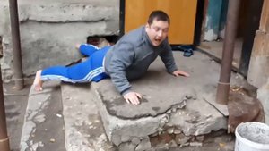 Тюлень под спайсом