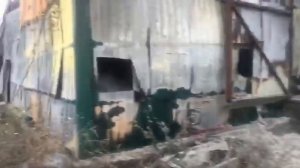 Видео пожара в Шахтах 28 10 20