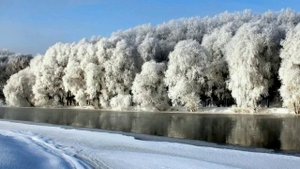 Память книга оживит. Донская природа» 2021 1-й этап Гавриил Колесников «Подсудимый» Отрывок