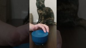 Обзор колонки сбер бум мини