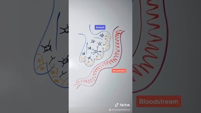 How Do You Die From Corona Virus?