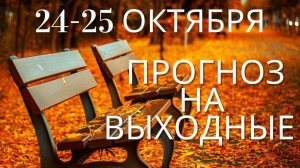 Прогноз на 24-25 октября: Прорывы в делах, учебе, озарения. Астрологический прогноз и карты Ангелов