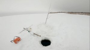 Рыбалка у чёрной дыры. Ловля налима. Тридцатая серия.