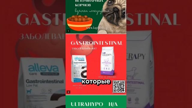 ВЕТ.КОРМА УШЛИ, что дальше? Ищем альтернативы 👍 #зоомагазин #кормдлясобак #сухойкорм