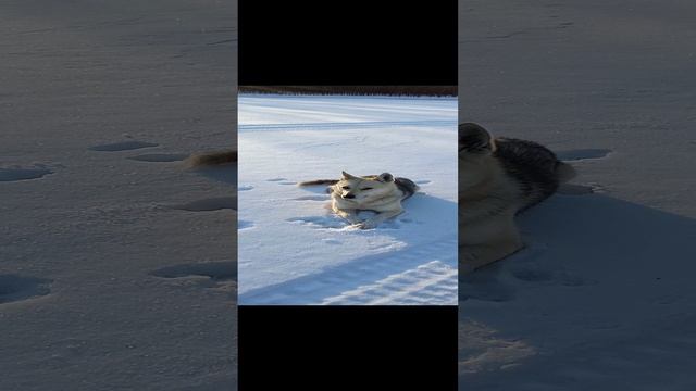 1000015644.mp4