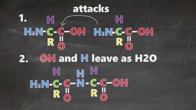 MCAT  BIO 1A  Video #5 Amino Acids  Reactions