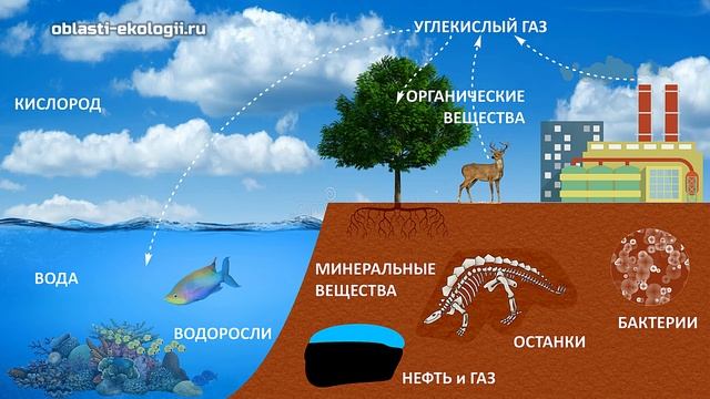 Круговорот веществ в природе смотреть онлайн