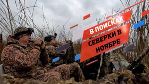 Охота на утку поздней осенью! Ноябрь, ждем пролет!