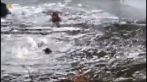 Падение под лед