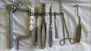 Топографическая анатомия: Трахеостомия