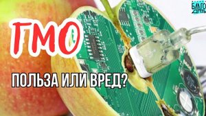 ГМО - польза или вред?  Как ГМО продукты влияют на здоровье