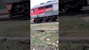 Пассажирский поезд 379 Камышин Москва на станции Ильмень