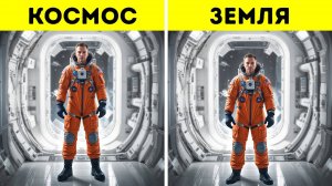 Анатомия человека более странная, чем вы думаете // Научные факты о вашем теле