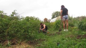 ДОМ РЕВОЛЮЦИОНЕРА И БЕСКОНЕЧНЫЕ НАХОДКИ! Коп с металлоискателем GOFIND 11 и TX-850