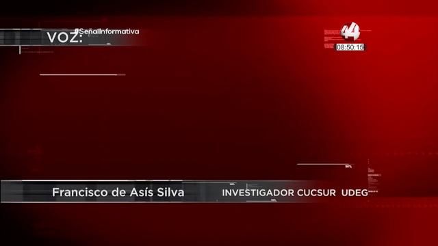 Ayudan al medio ambiente tratando de aprovechar el sargazo en las playas del Caribe Mexicano смотреть онлайн