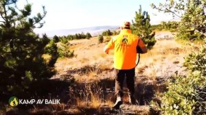 TOP 30 DOMUZ AVI EN İYİ SAHNELER- TOP 30 AMAZING WILD BOAR HUNTS - BEST SCENES, HOG HUNTS - PIG