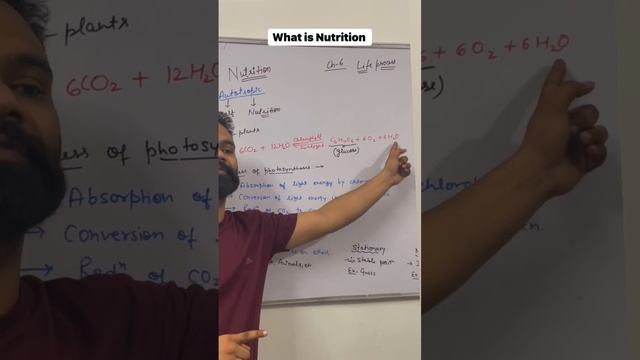 What is Nutrition | Autotrophic Nutrition Chapter 6 Class 10th