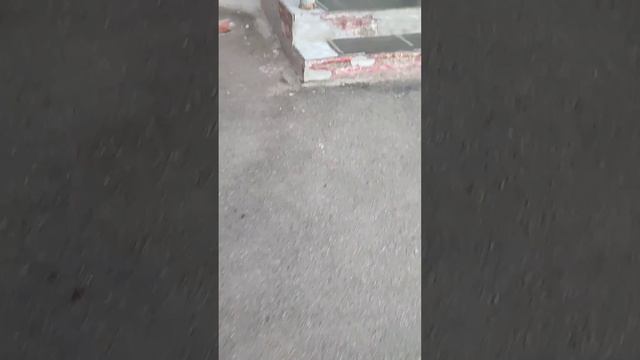 (1 видео с домофонами) кнопки домофонов визит кликаем (*и 0) смотреть онлайн