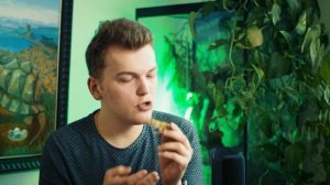 Пятнистый ЭУБЛЕФАР самая ПОПУЛЯРНАЯ РЕПТИЛИЯ? Как содержать эту ящерицу?