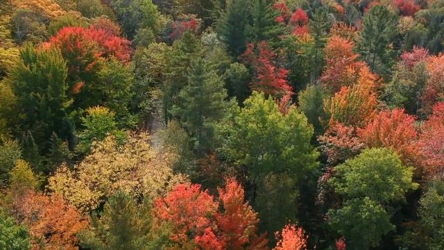 Three Pigment Opera смотреть онлайн