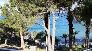 Ladonia hotels Adakule территория и дневная анимация🌴 🤽♂️