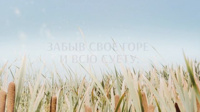 Кто хочет из вас быть смотреть онлайн