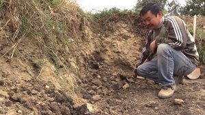 Лопата против перфоратора и кирки при копке плотного грунта