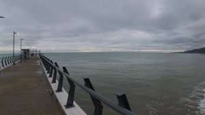 Погода в Лазаревском 27.11.2024.  Птички поют!