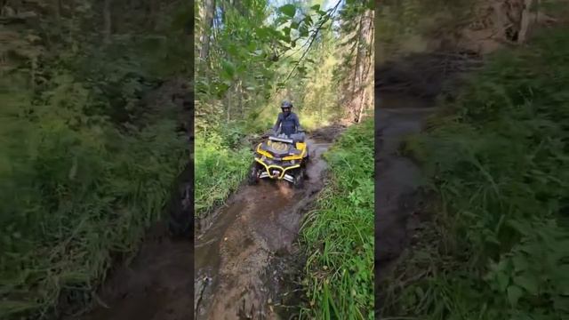 Лайт брод в болотах stels guepard #atv #квадроциклы смотреть онлайн