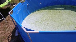 Каркасный бассейн из светофора
