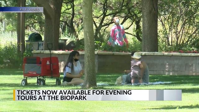 Nightwalk at the Botanic Garden returns on May 30 смотреть онлайн