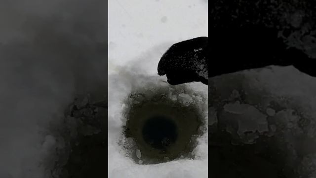МОЯ ДОСАДНАЯ ОШИБКА(!Всегда берите багор с собой #2023 #fishing #рыбалка #река