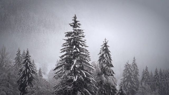 Музыка для учебы, работы, релаксации и концентрации смотреть онлайн