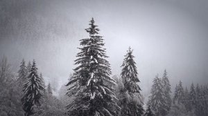 Музыка для учебы, работы, релаксации и концентрации