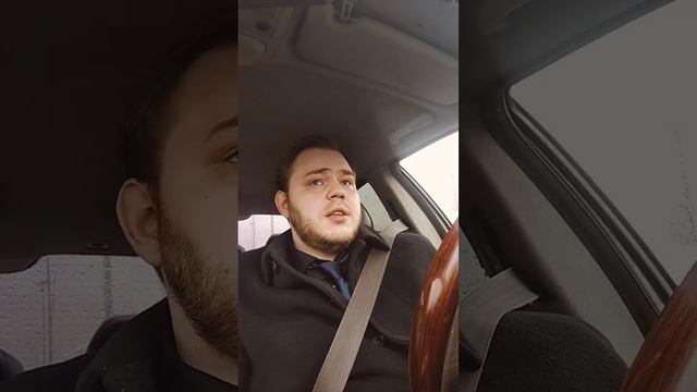 Олени и противотуманки часть 2 #clearain #auto